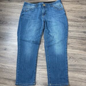 Democracy Absolution Jeans Womens 16W Blue Elastic Waist Comfort Stretch Denim